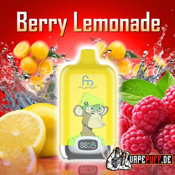 BERRY LEMONADE randm 12000