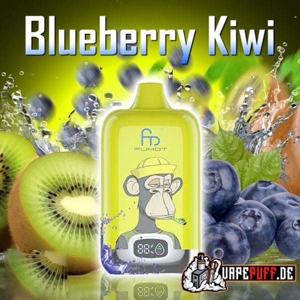 BLUEBERRY KIWI randm 12000