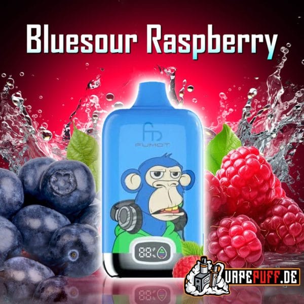 BLUESOUR RASPBERRY randm 12000