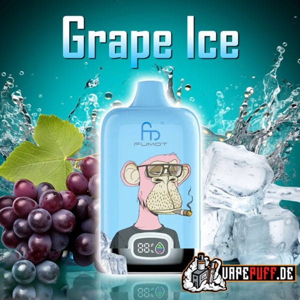 GRAPE ICE randm 12000