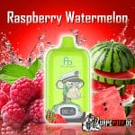 RASPBERRY WATERMELON randm 12000