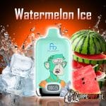 WATERMELON ICE randm 12000