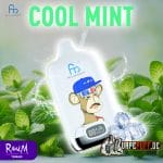 randm 12k coolmint